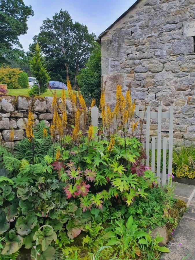 Howgill Farm Bolton Abbey Appletreewick Ngoại thất bức ảnh
